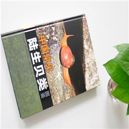 中國(guó)常見(jiàn)陸生貝類圖鑒  精裝書(shū) 精裝畫(huà)冊(cè)印刷